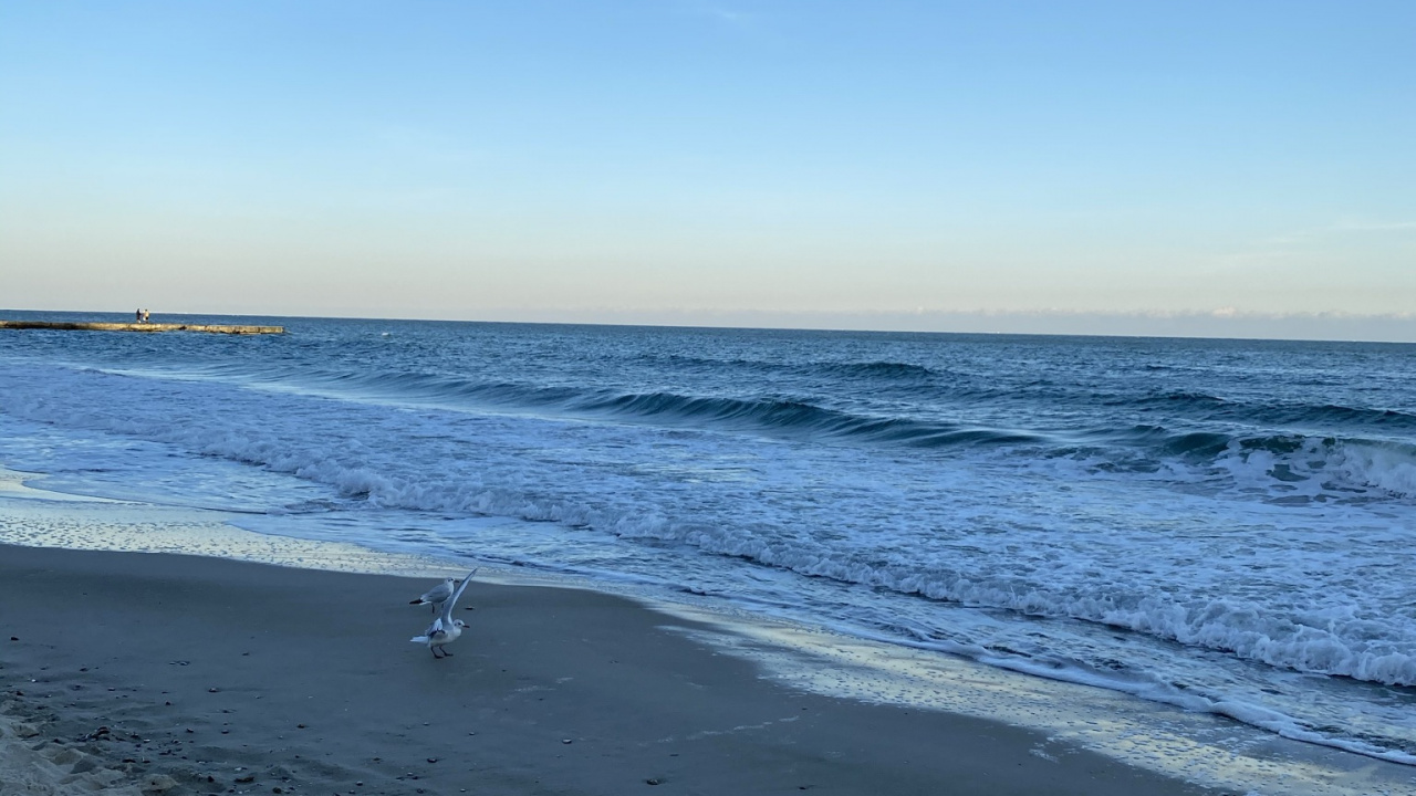 Mer, Sauvage Par L'eau, Corps de L'eau, Fluide, Environnement Naturel. Wallpaper in 1280x720 Resolution