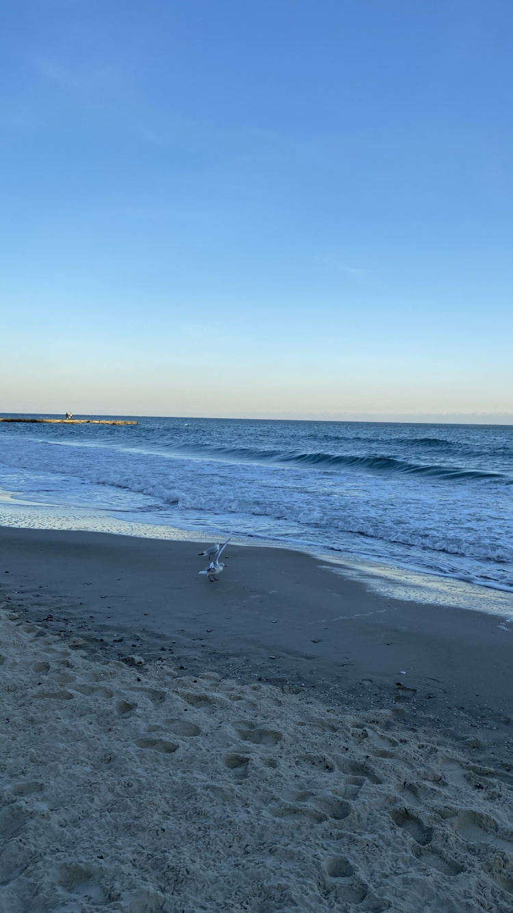 Mer, Sauvage Par L'eau, Corps de L'eau, Fluide, Environnement Naturel. Wallpaper in 750x1334 Resolution