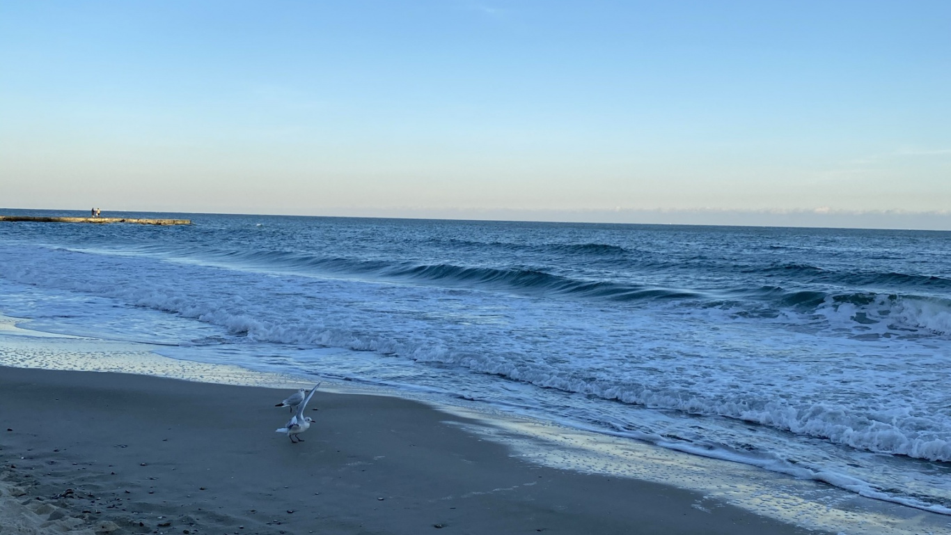 Sea, Wild by Water, Body of Water, Fluid, Natural Environment. Wallpaper in 1366x768 Resolution