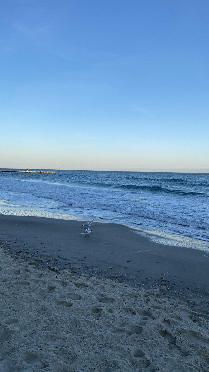 Sea, Wild by Water, Body of Water, Fluid, Natural Environment. Wallpaper in 720x1280 Resolution