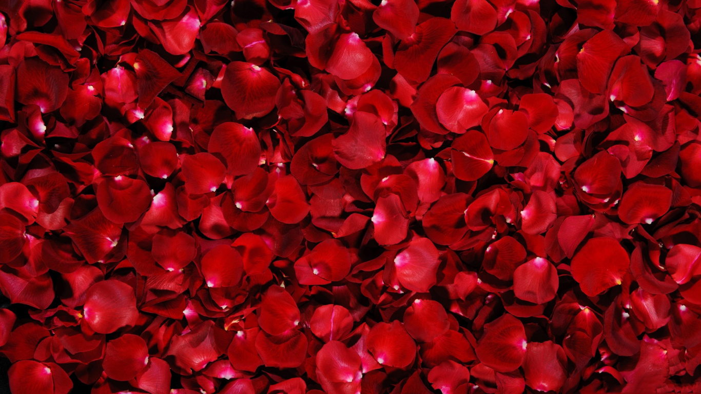 Decoraciones en Forma de Corazón Rojo y Negro. Wallpaper in 1366x768 Resolution