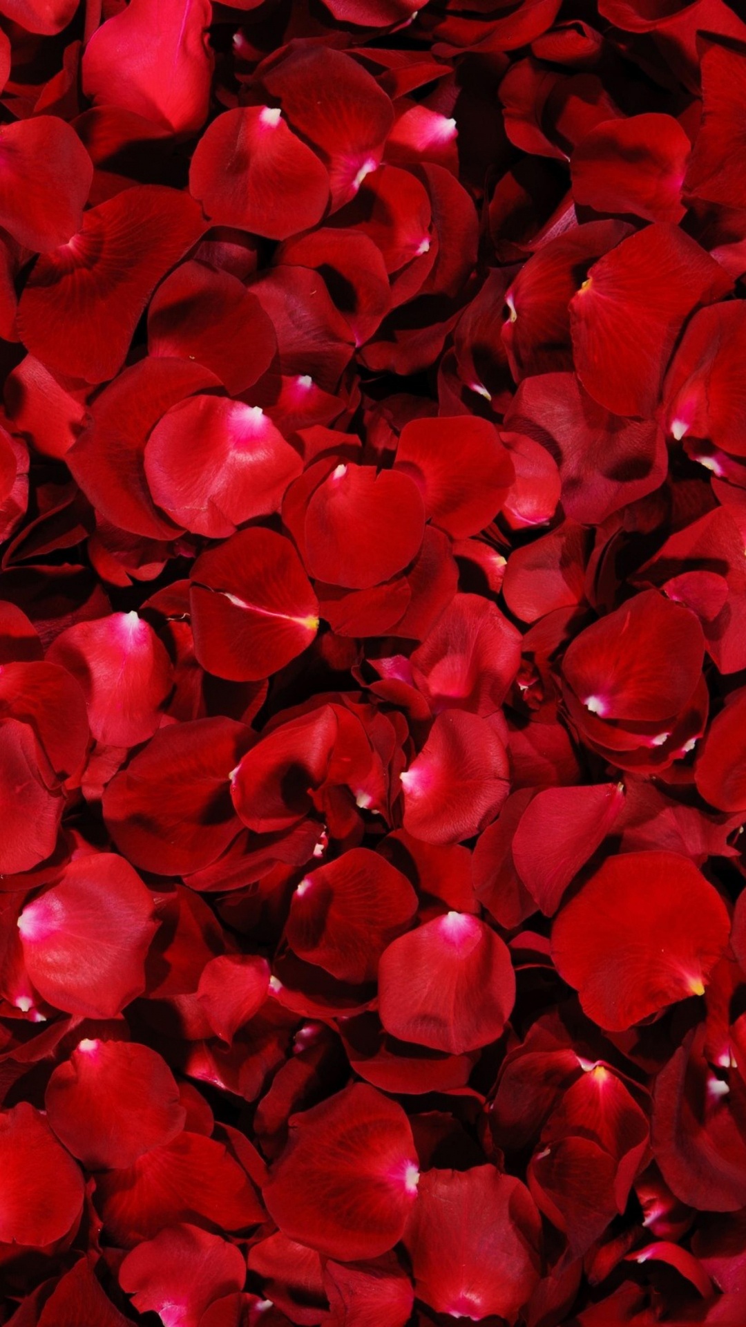 Rote Und Schwarze Herzförmige Dekore. Wallpaper in 1080x1920 Resolution