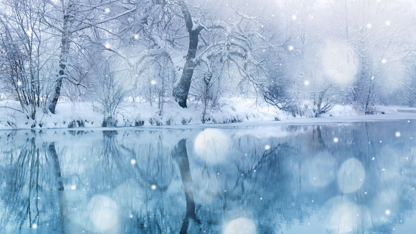 Leafless Tree on Snow Covered Ground. Wallpaper in 1366x768 Resolution
