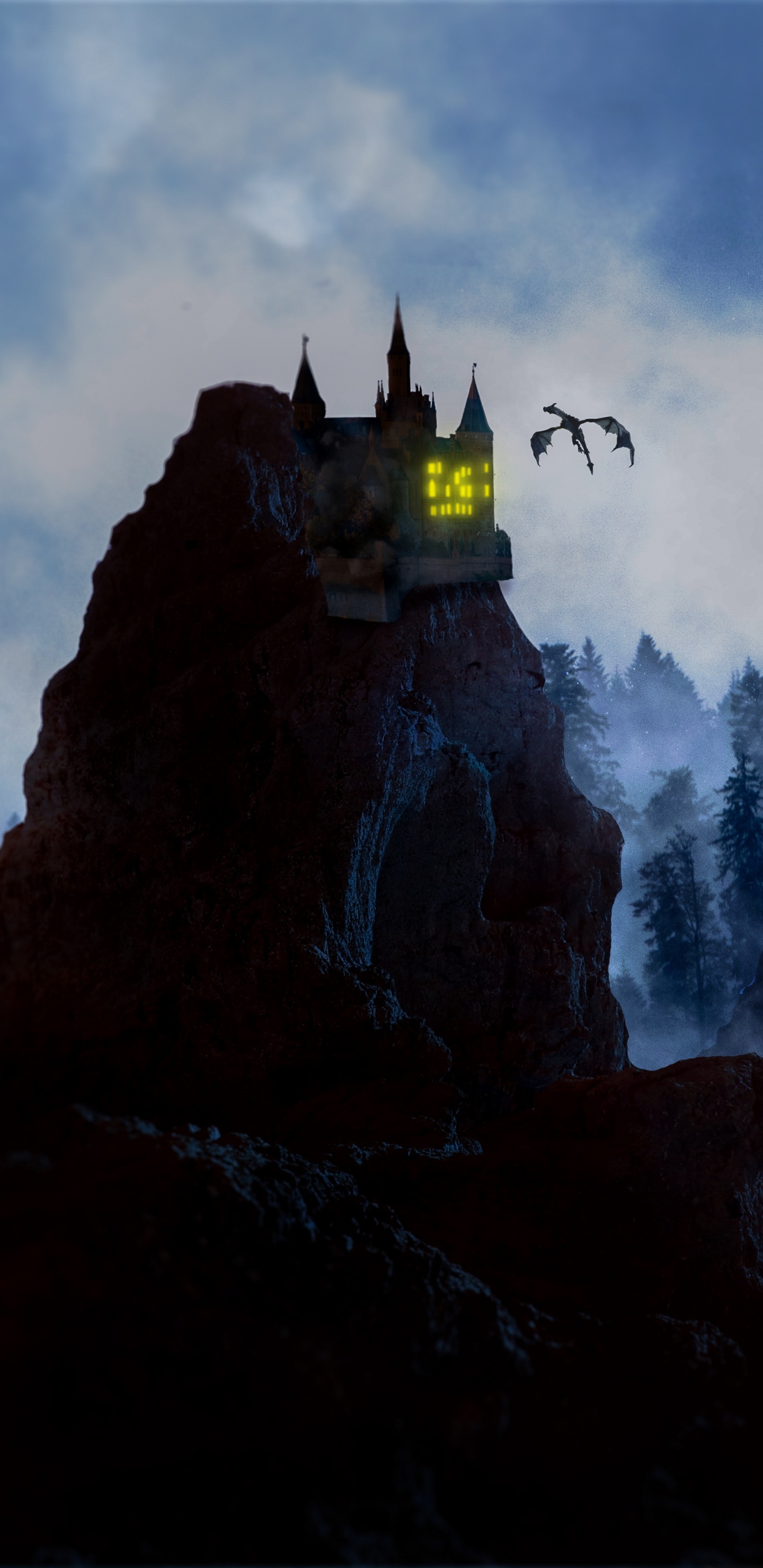 Personne Debout Sur Une Formation Rocheuse Près D'arbres Verts Pendant la Journée. Wallpaper in 1440x2960 Resolution