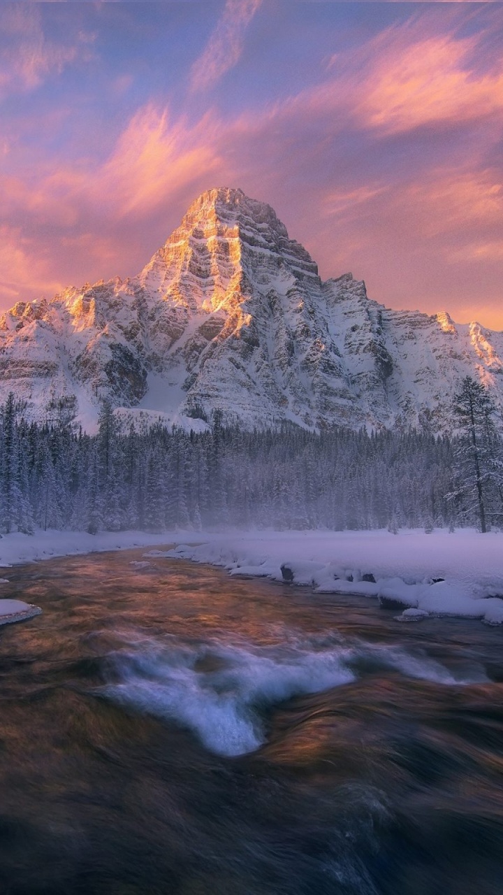 Montagne Couverte de Neige et Pins. Wallpaper in 720x1280 Resolution