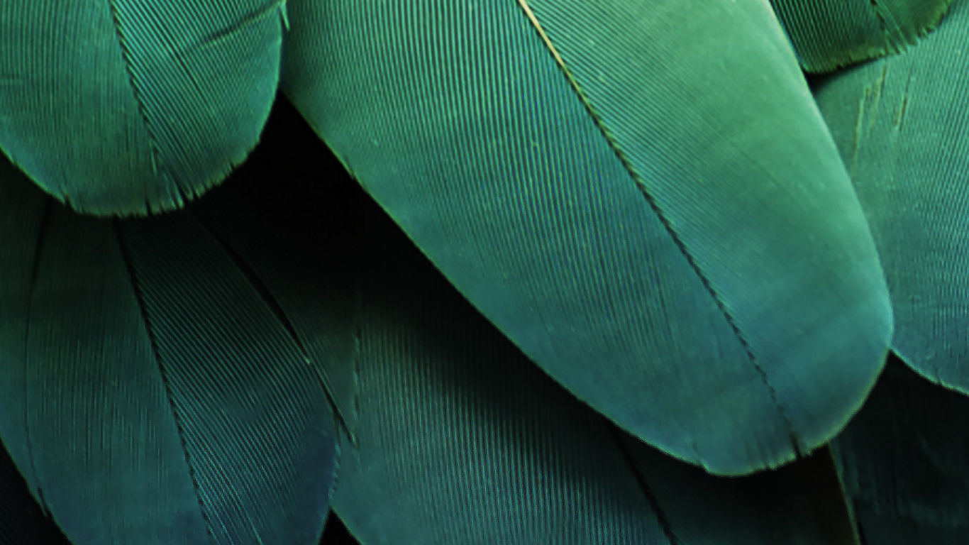 ZTE, ZTE MiFavor, Verde, Azul, Azul Verde. Wallpaper in 1366x768 Resolution