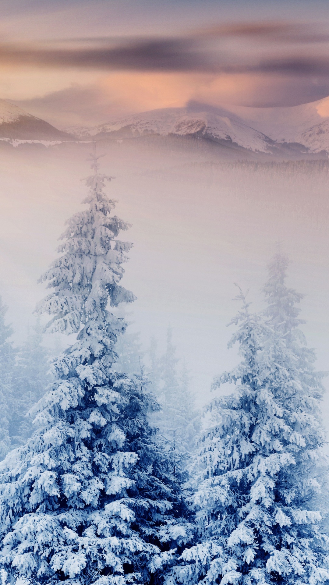 Hiver, Nature, Neige, Blue, Congélation. Wallpaper in 1080x1920 Resolution