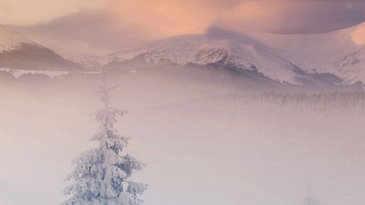 Hiver, Nature, Neige, Blue, Congélation. Wallpaper in 1280x720 Resolution