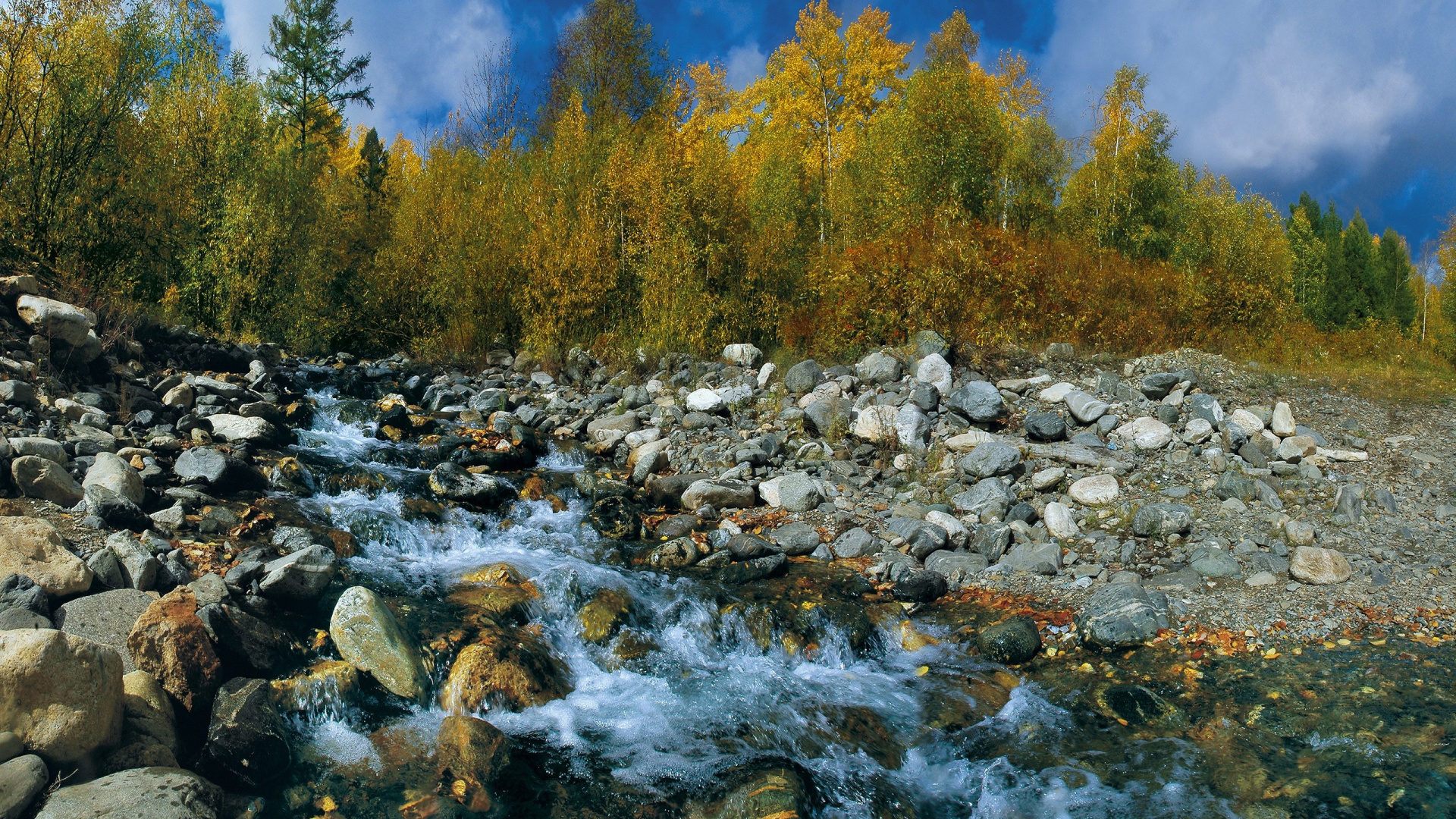 Green Trees Beside River During Daytime. Wallpaper in 1920x1080 Resolution
