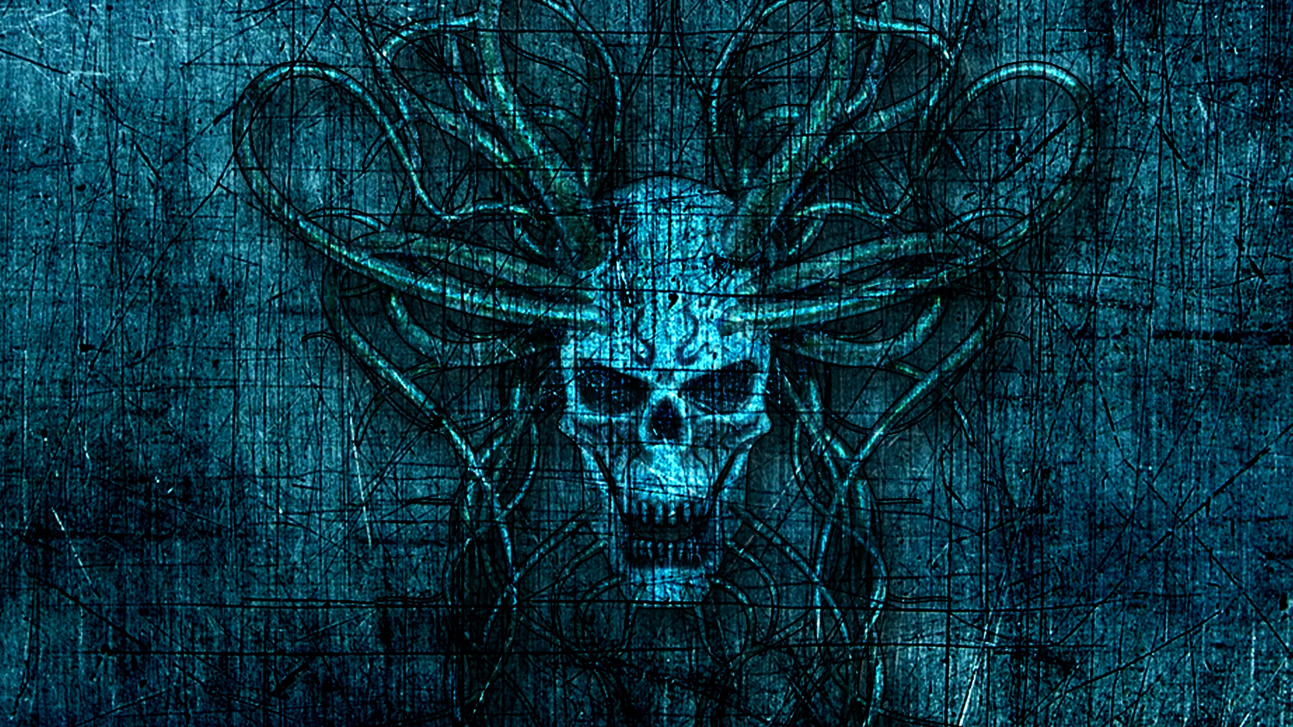 Purple and Black Spider Sketch. Wallpaper in 2560x1440 Resolution