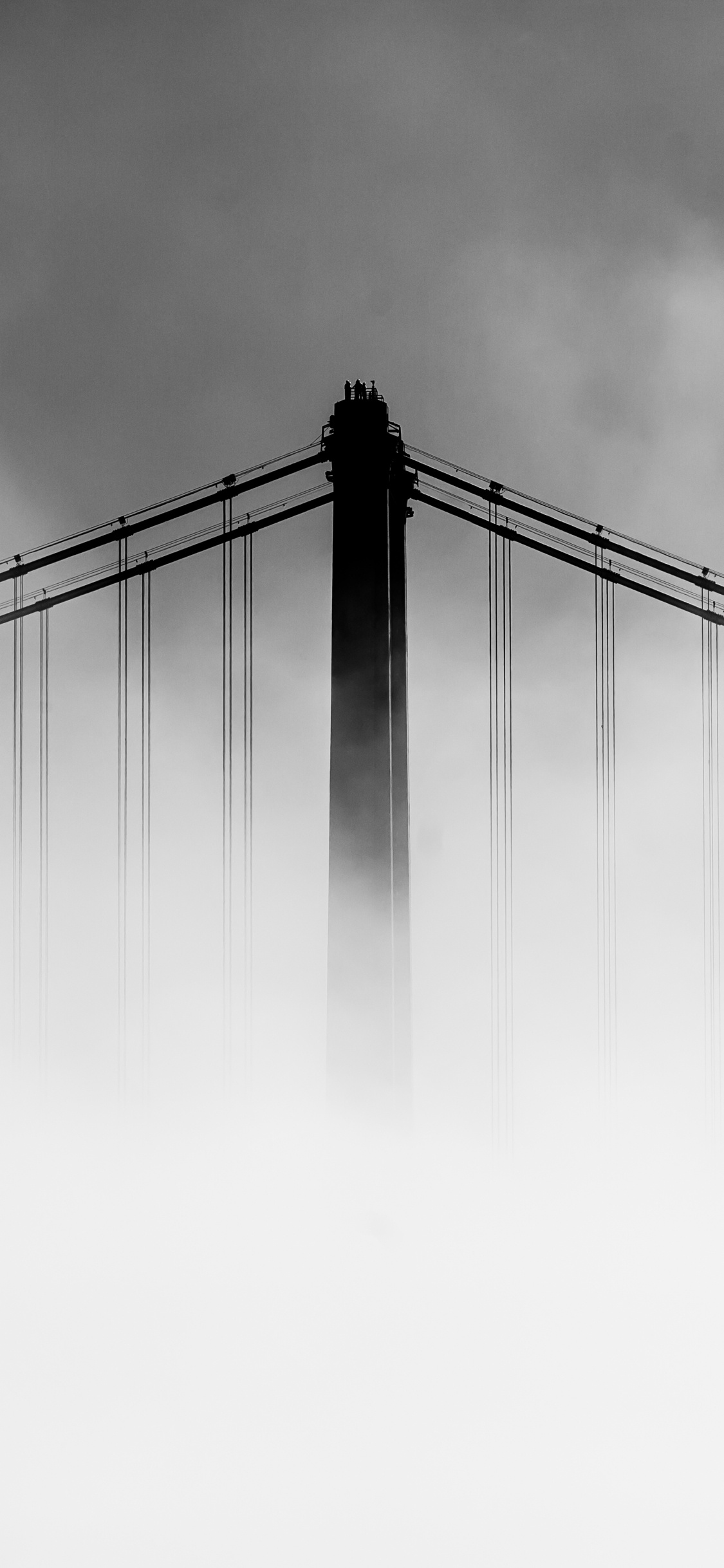 Graustufenfoto Der Brücke Bei Bewölktem Himmel. Wallpaper in 1125x2436 Resolution