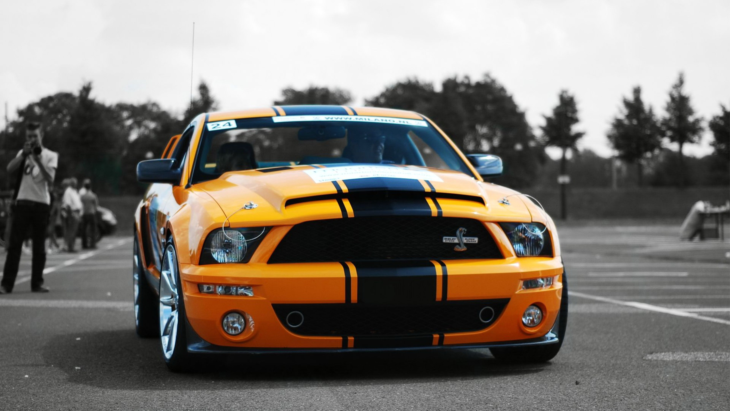 Chevrolet Camaro Jaune et Noir. Wallpaper in 2560x1440 Resolution