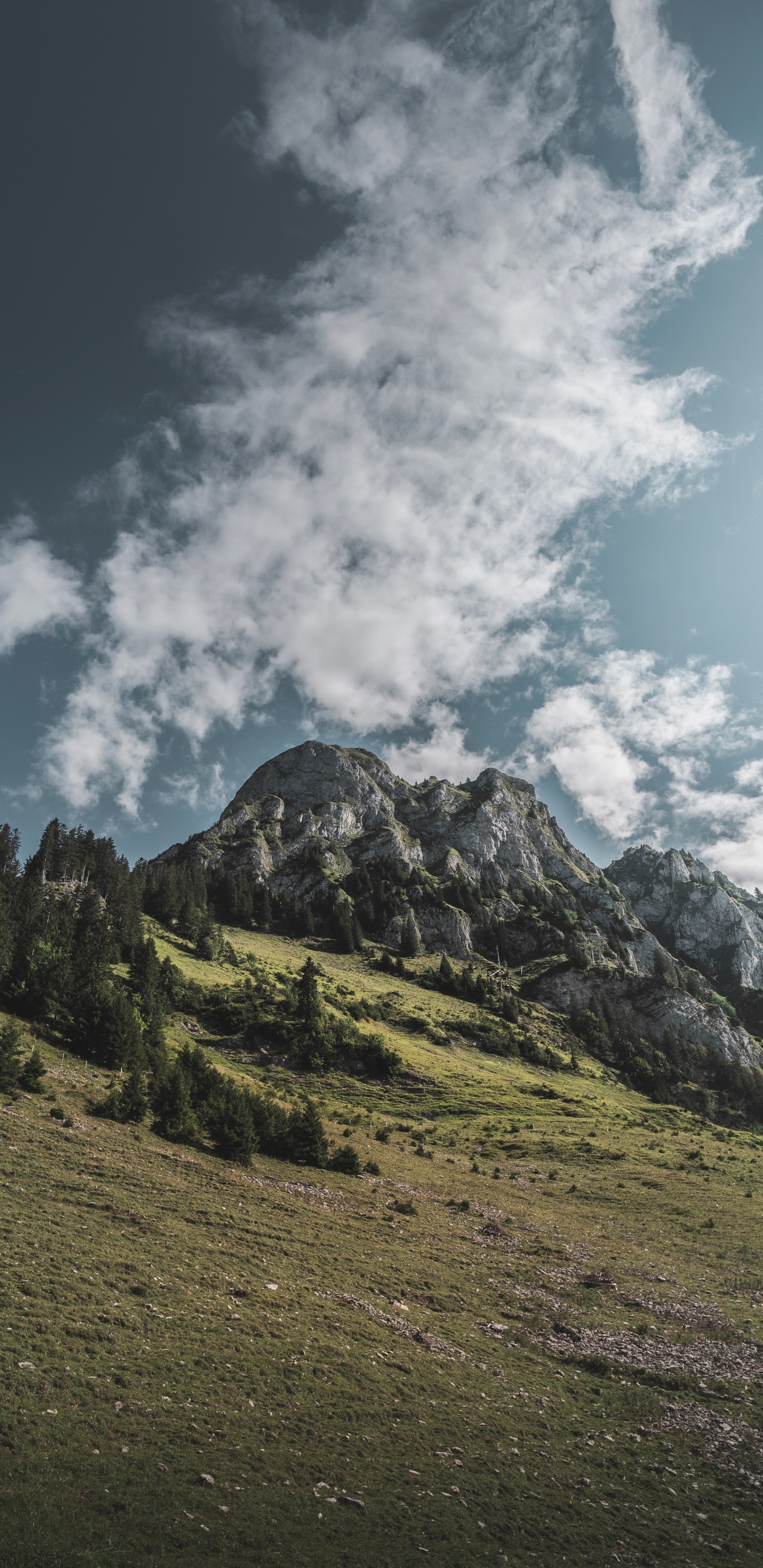 Gamme de Montagne, Les Reliefs Montagneux, Highland, Colline, Crête. Wallpaper in 1440x2960 Resolution