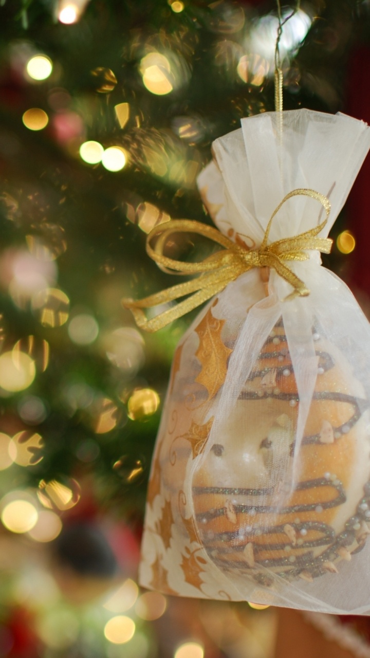 Christmas Day, Holiday, Christmas Ornament, Christmas, Christmas Decoration. Wallpaper in 720x1280 Resolution