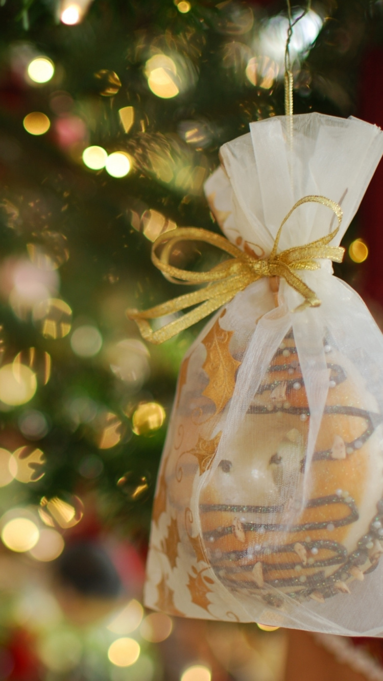 Christmas Day, Holiday, Christmas Ornament, Christmas, Christmas Decoration. Wallpaper in 750x1334 Resolution