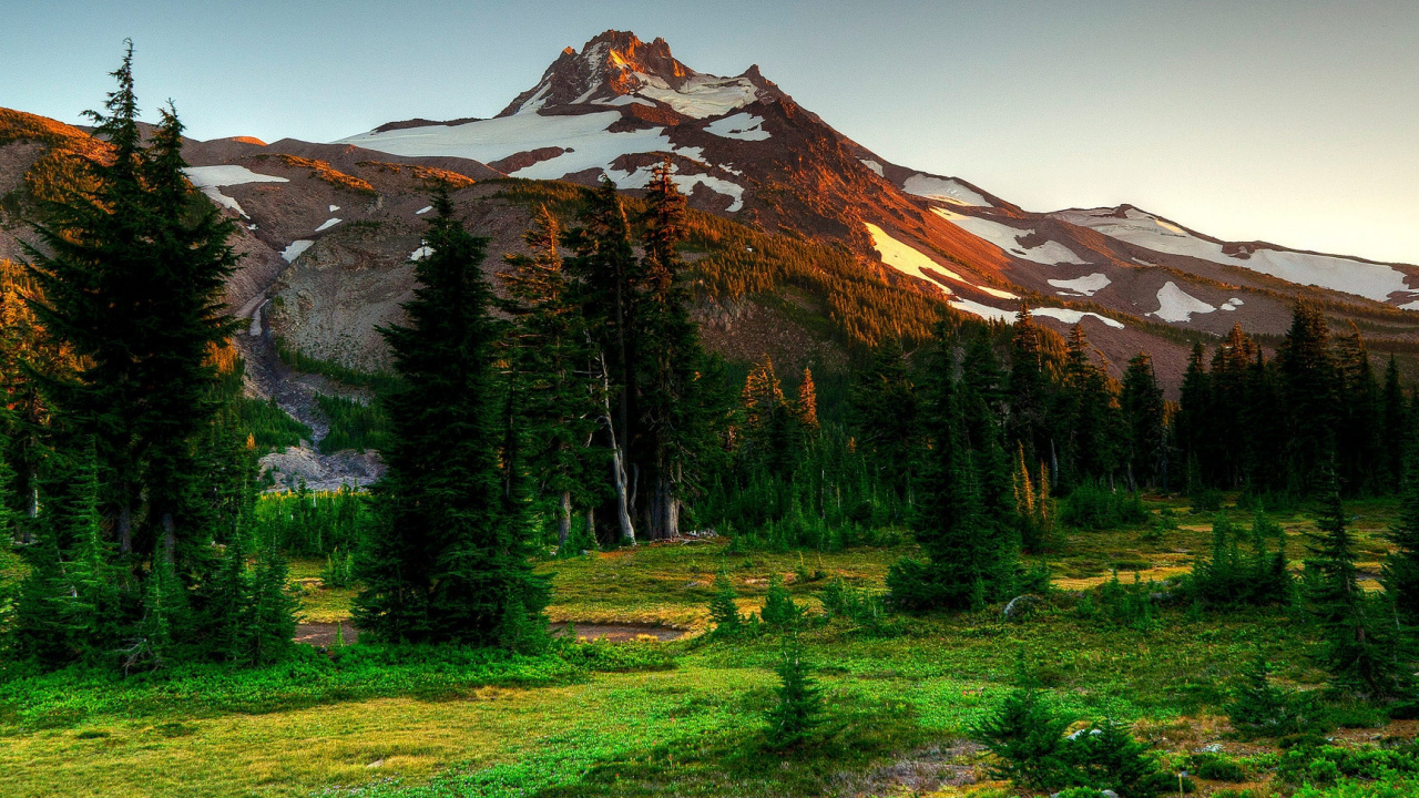 Green Pine Trees Near Brown Mountain Under Blue Sky During Daytime. Wallpaper in 1280x720 Resolution