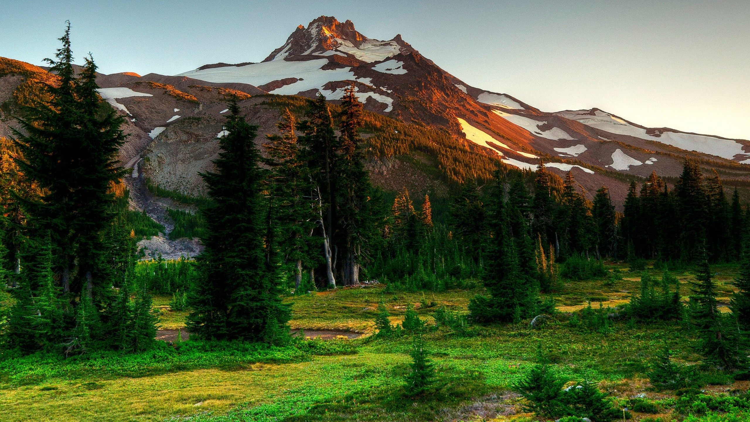 Green Pine Trees Near Brown Mountain Under Blue Sky During Daytime. Wallpaper in 2560x1440 Resolution