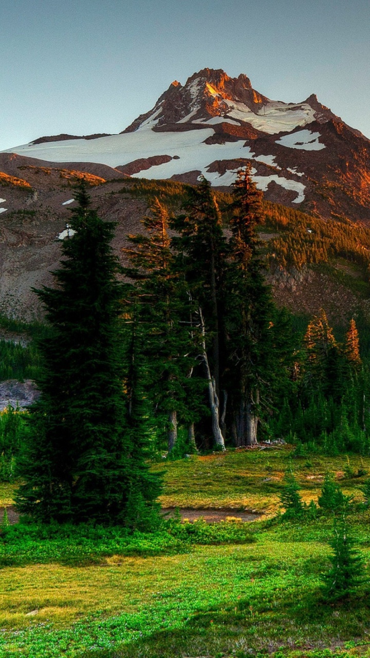 Green Pine Trees Near Brown Mountain Under Blue Sky During Daytime. Wallpaper in 720x1280 Resolution