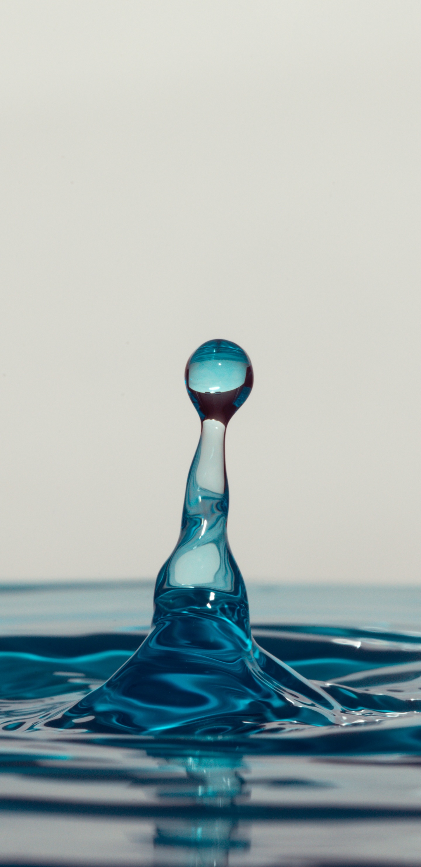 Blauer Und Rosa Wassertropfen. Wallpaper in 1440x2960 Resolution