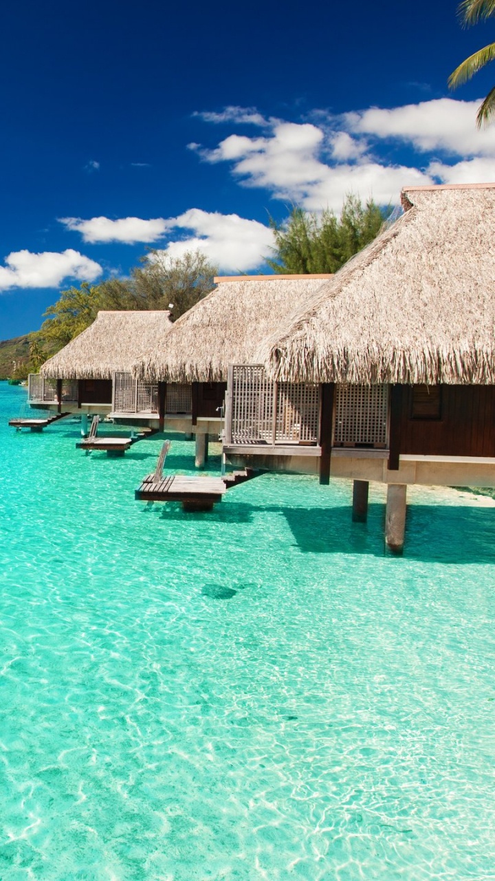 Maison en Bois Brune au Bord de la Mer Pendant la Journée. Wallpaper in 720x1280 Resolution