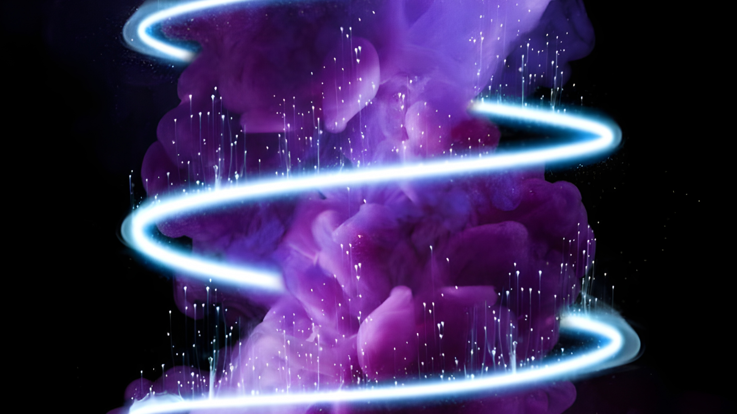 Android, Purple, Pétale, Lumière, Blue. Wallpaper in 2560x1440 Resolution