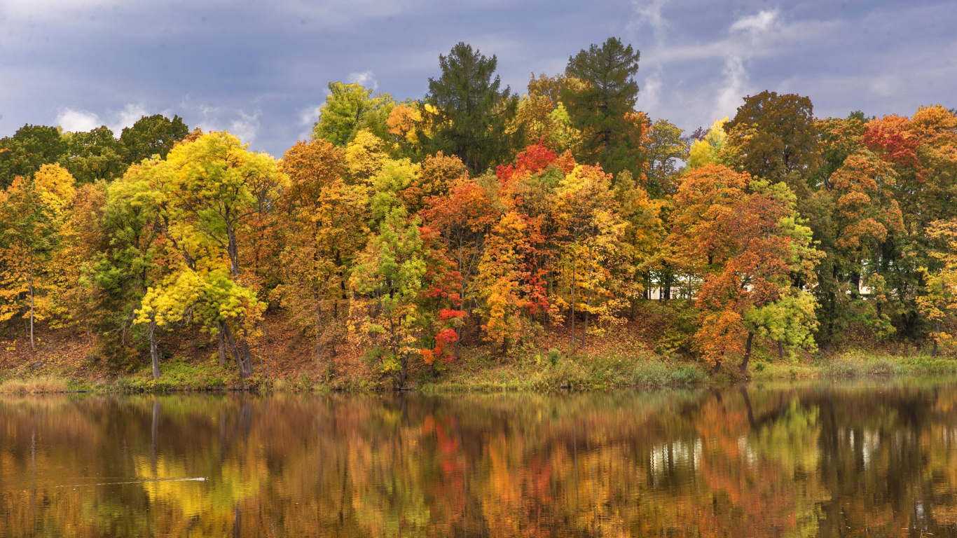 Arbres Verts et Jaunes au Bord du Lac Sous Ciel Bleu Pendant la Journée. Wallpaper in 1366x768 Resolution