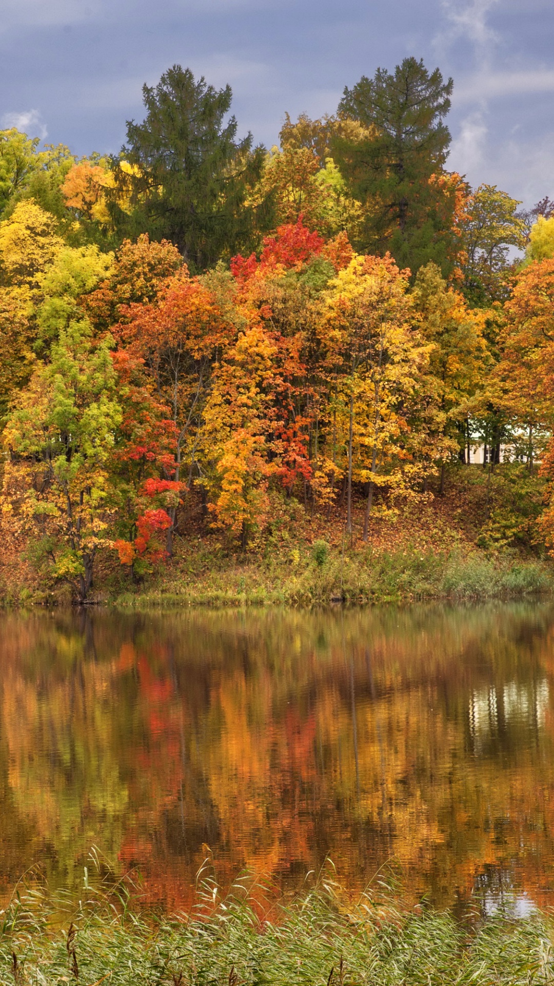 Green and Yellow Trees Beside Lake Under Blue Sky During Daytime. Wallpaper in 1080x1920 Resolution