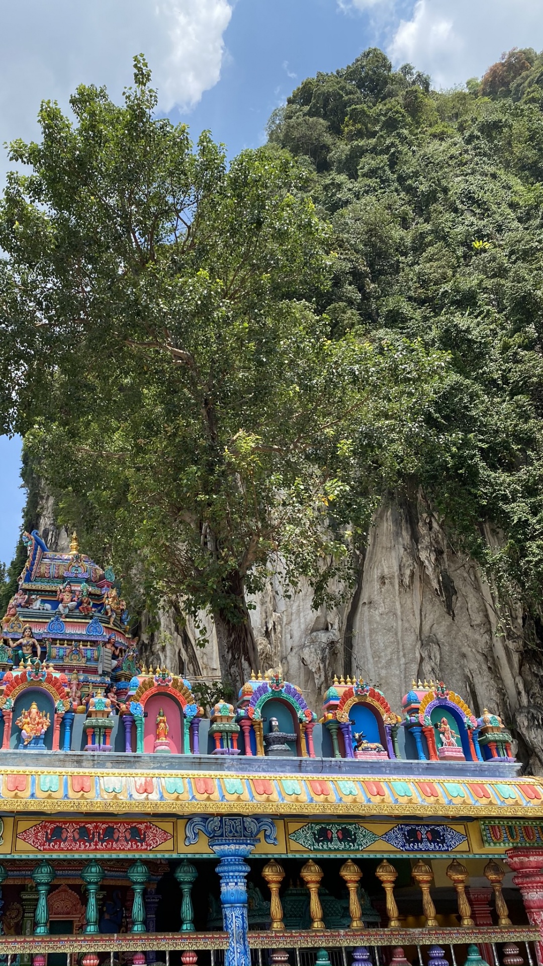 旅游业, 旅游景点, 生物学, 科学, 积云 壁纸 1080x1920 允许
