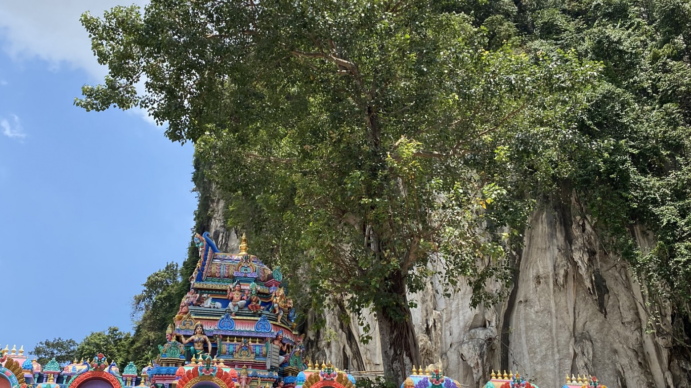 Tree, Tourism, Tourist Attraction, Biology, Science. Wallpaper in 1366x768 Resolution