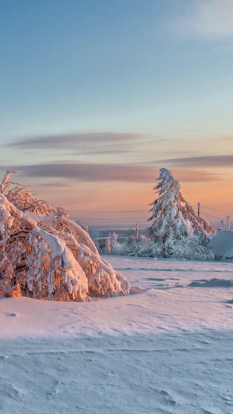 Braune Felsformation Auf Weißem, Schneebedecktem Boden Tagsüber. Wallpaper in 750x1334 Resolution