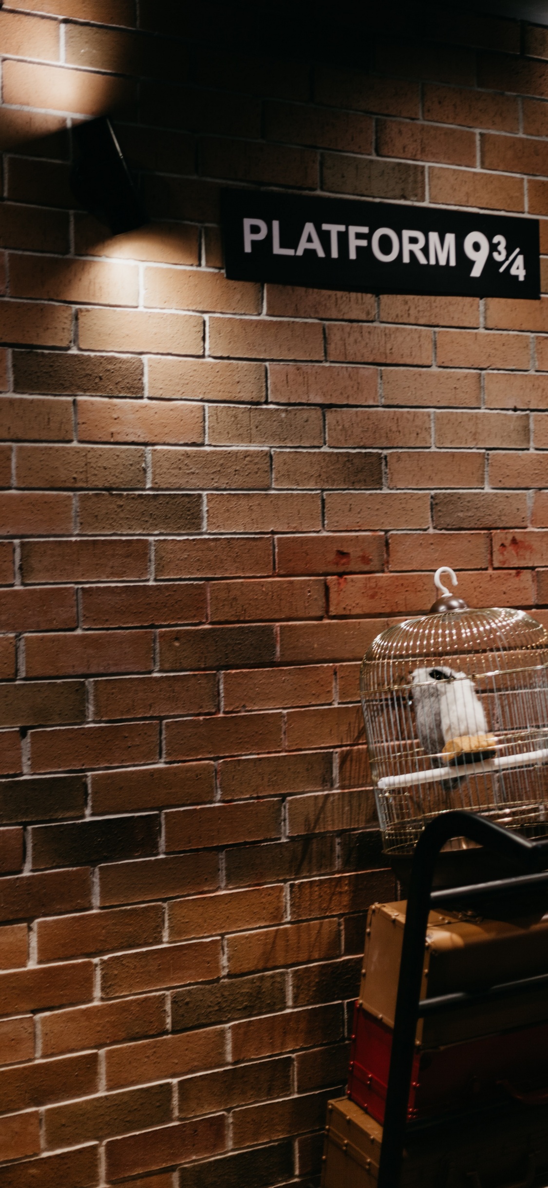 Plateforme 9 3 4, Warner Bros Studio Tour Londres, Poudlard Express, Brown, Propriété. Wallpaper in 1125x2436 Resolution