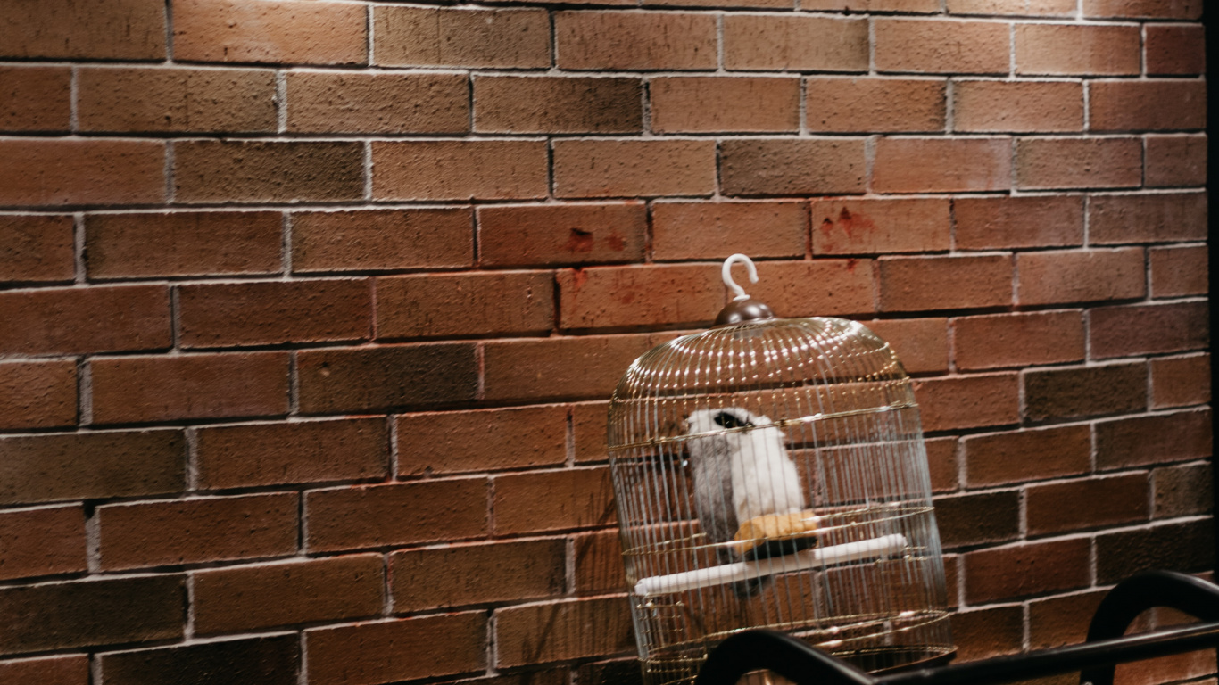 Platform 9 3 4, Warner Bros Studio Tour London, Hogwarts Express, Brown, Property. Wallpaper in 1366x768 Resolution