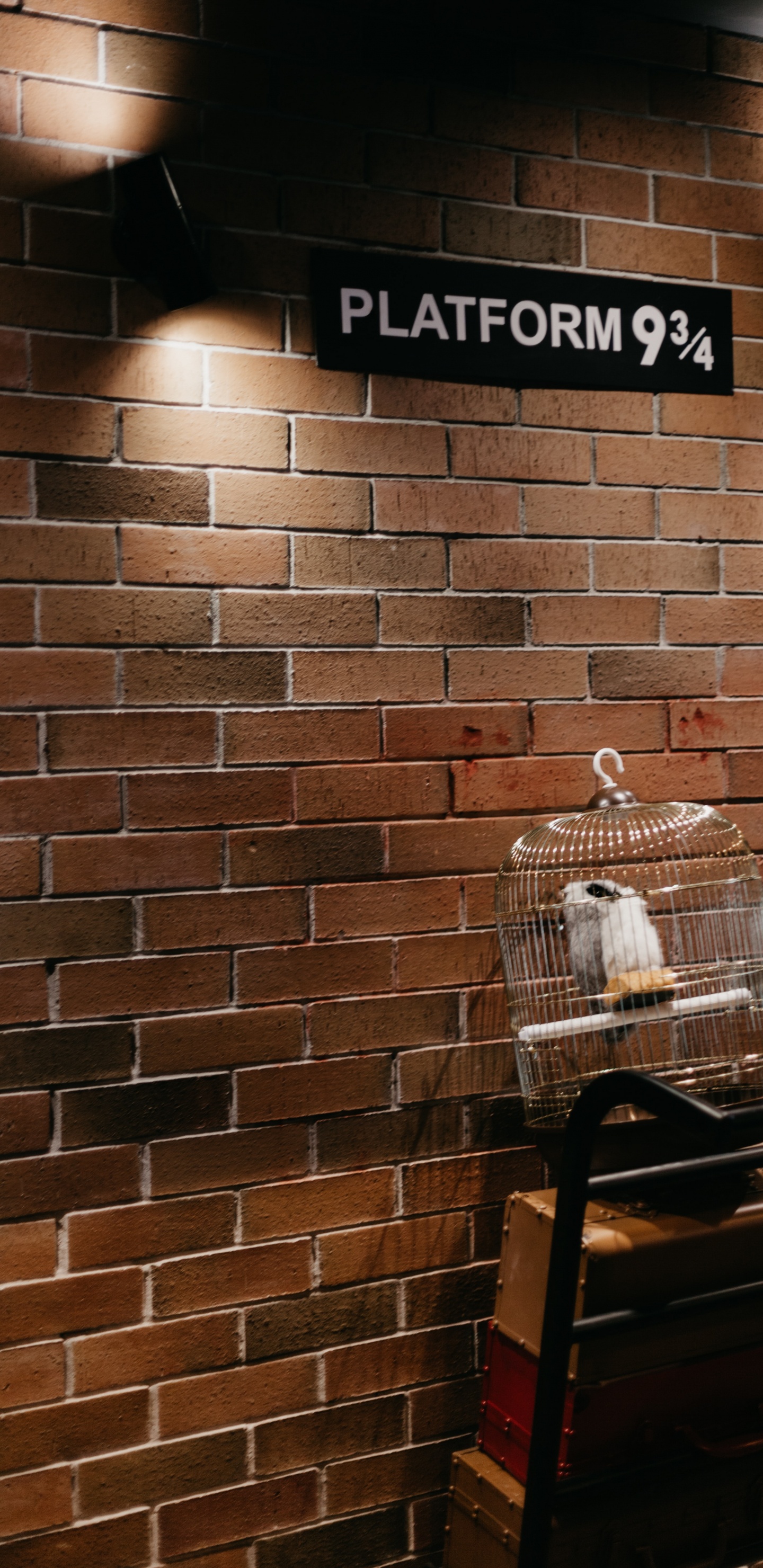Plattform 9 3 4, Warner Bros Studio Tour London, Hogwarts Express, Brown, Eigenschaft. Wallpaper in 1440x2960 Resolution