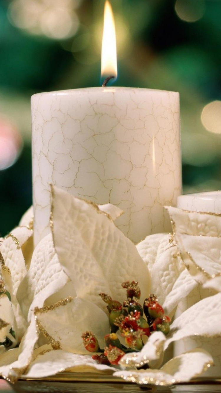 Christmas Day, Candle, Christmas Decoration, Poinsettia, Holiday. Wallpaper in 750x1334 Resolution