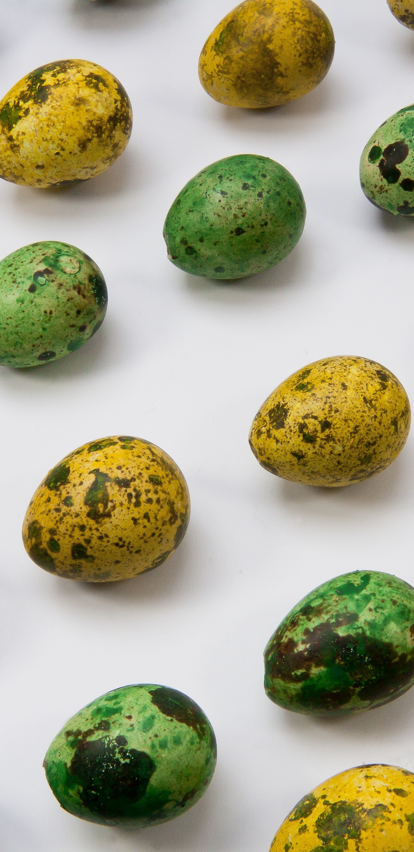 Green and Yellow Round Fruits. Wallpaper in 1440x2960 Resolution