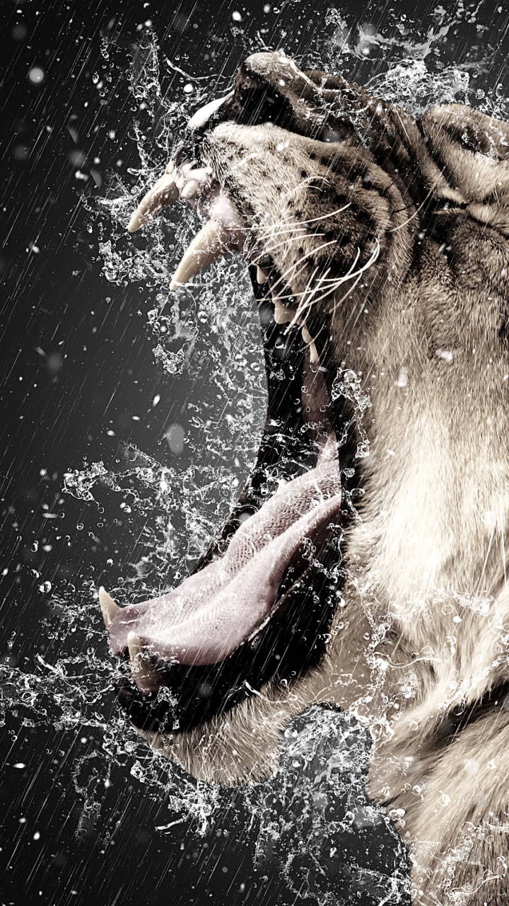 Brown Lion Mouth Open During Daytime. Wallpaper in 720x1280 Resolution