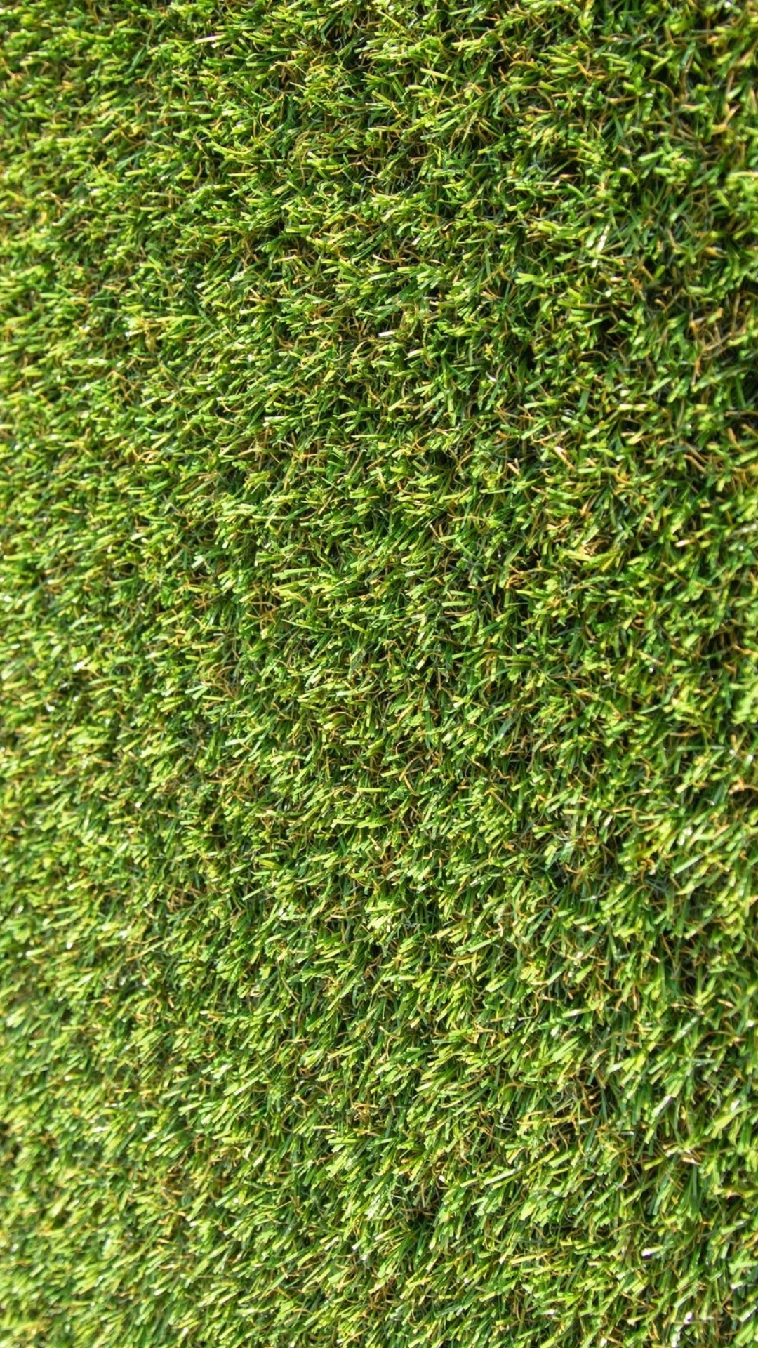 la Vegetación, Pintura Acrílica, Planta Terrestre, la Cubierta Vegetal, Arbusto. Wallpaper in 1080x1920 Resolution