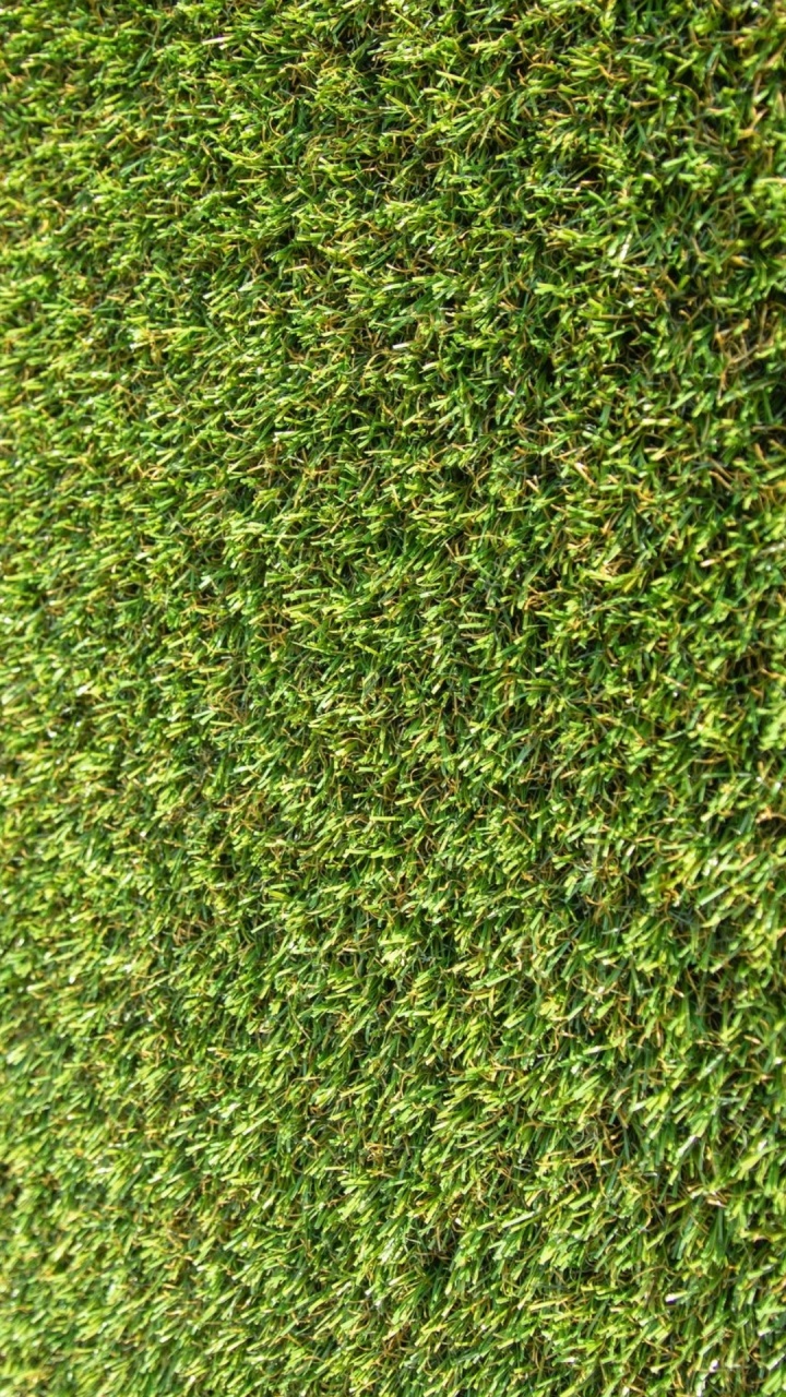 Vegetation, Acrylic Paint, Plant, Grass, Terrestrial Plant. Wallpaper in 720x1280 Resolution