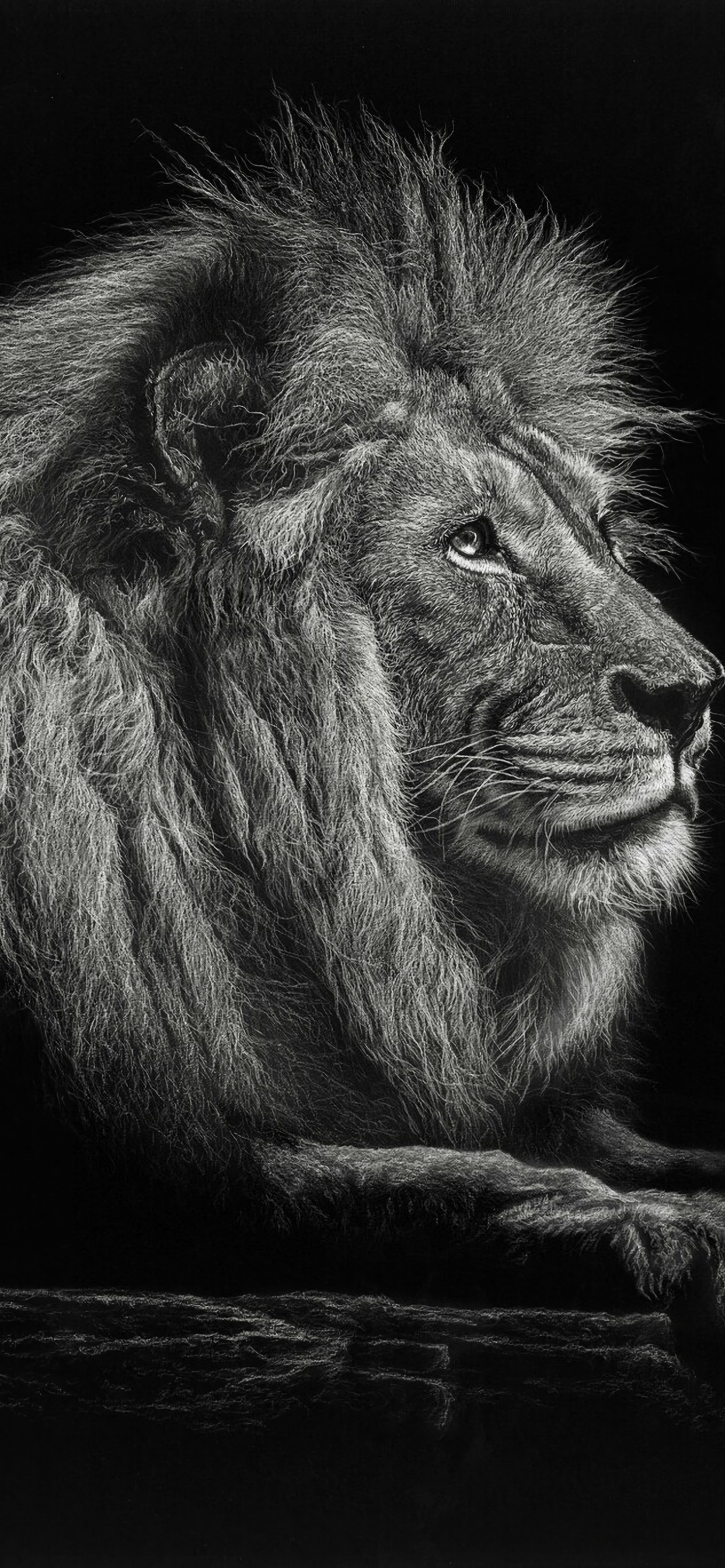 Lion Lying on Brown Wooden Surface. Wallpaper in 1242x2688 Resolution