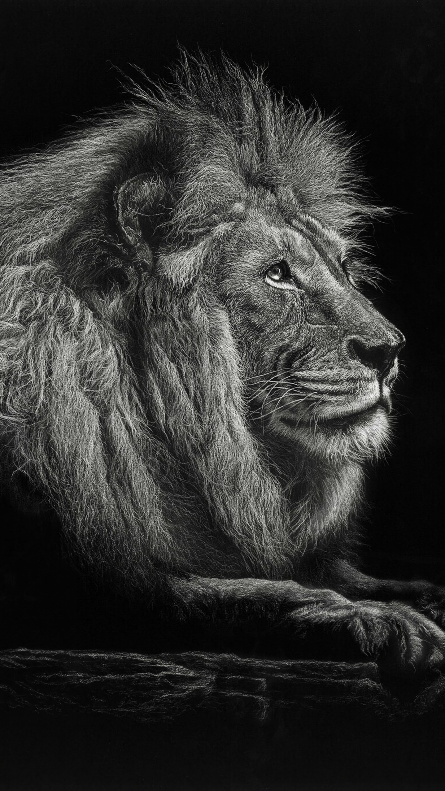 Lion Lying on Brown Wooden Surface. Wallpaper in 1440x2560 Resolution