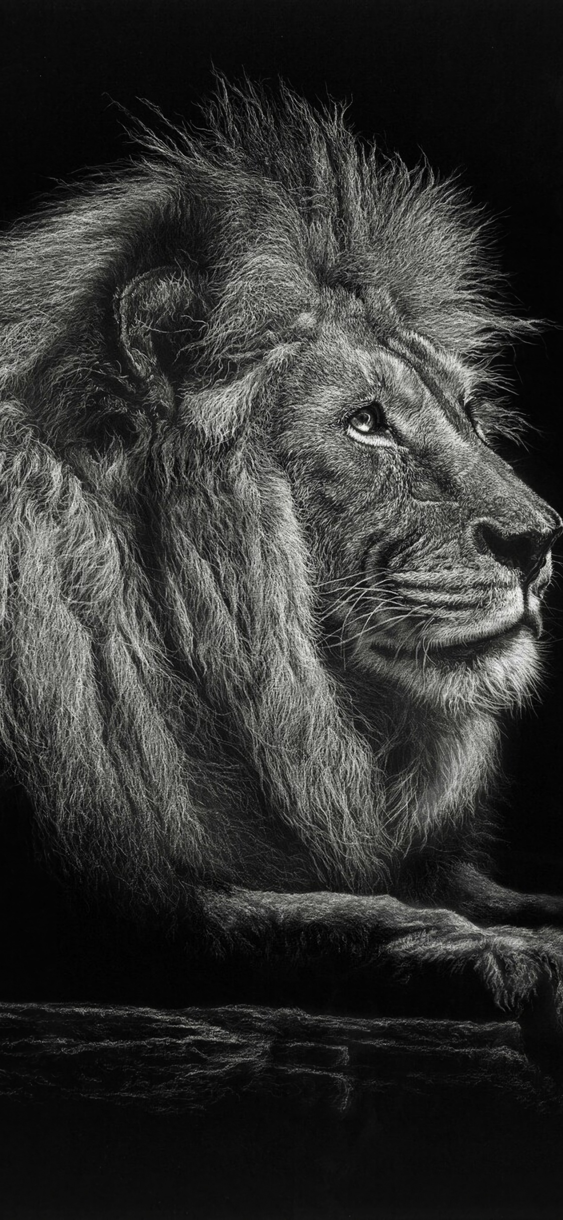 León Acostado Sobre la Superficie de Madera Marrón. Wallpaper in 1125x2436 Resolution