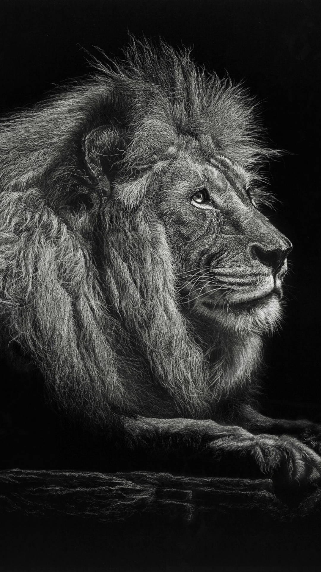 Lion Allongé Sur Une Surface en Bois Marron. Wallpaper in 1080x1920 Resolution