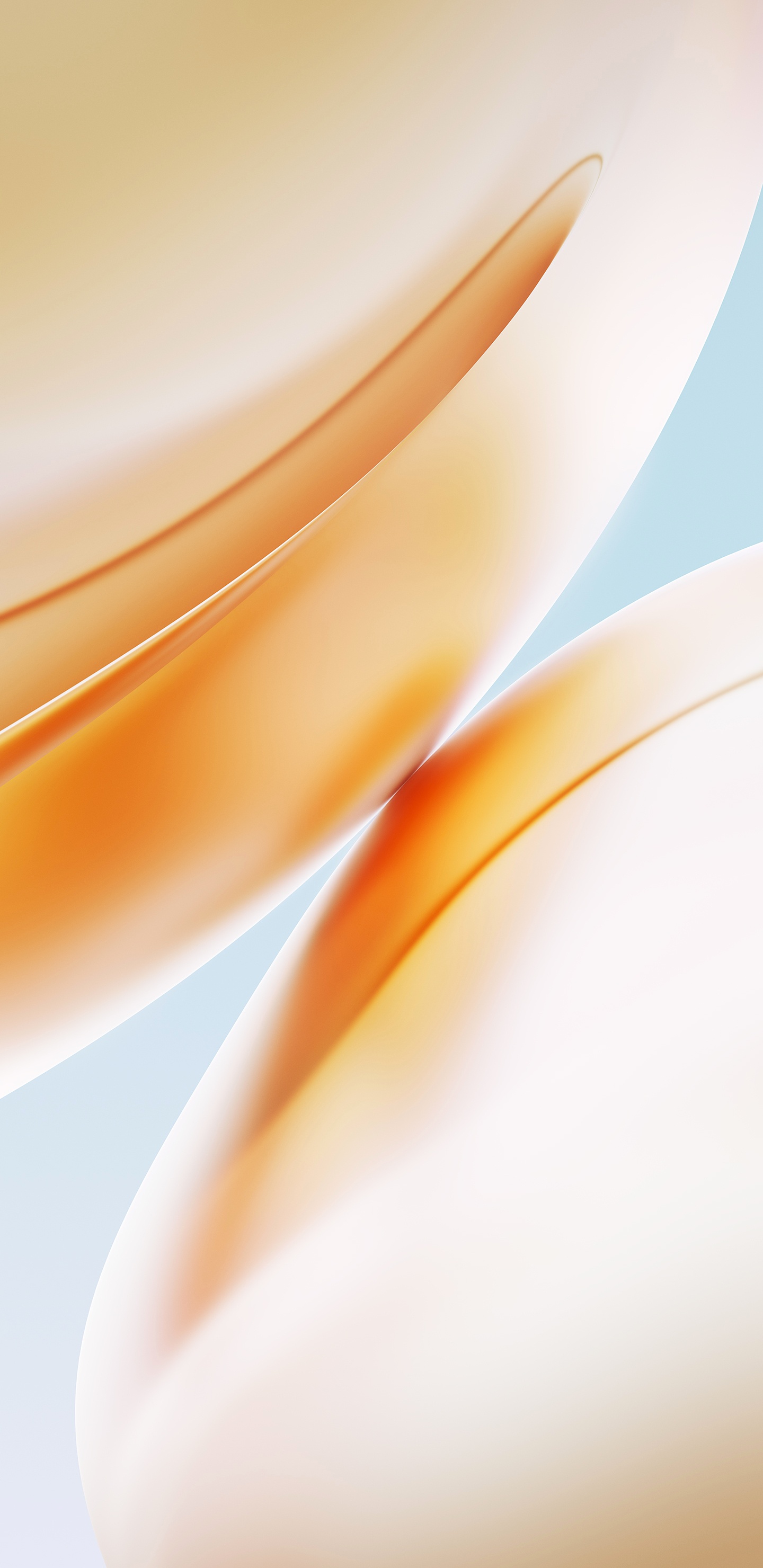 Oneplus 8 Pro, Smartphone, Android, Amarillo, Naranja. Wallpaper in 1440x2960 Resolution