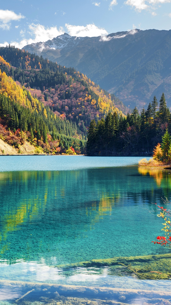 Green Lake Surrounded by Green Trees and Mountains During Daytime. Wallpaper in 720x1280 Resolution