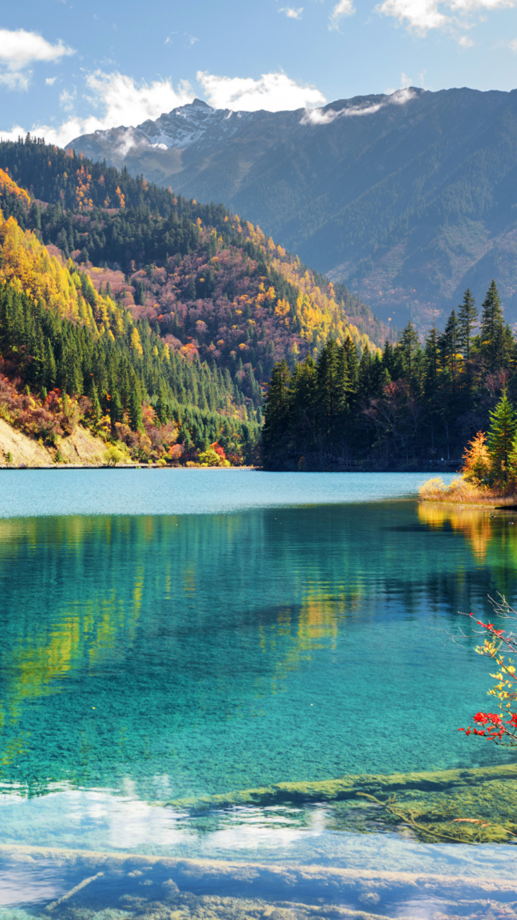 Green Lake Surrounded by Green Trees and Mountains During Daytime. Wallpaper in 750x1334 Resolution