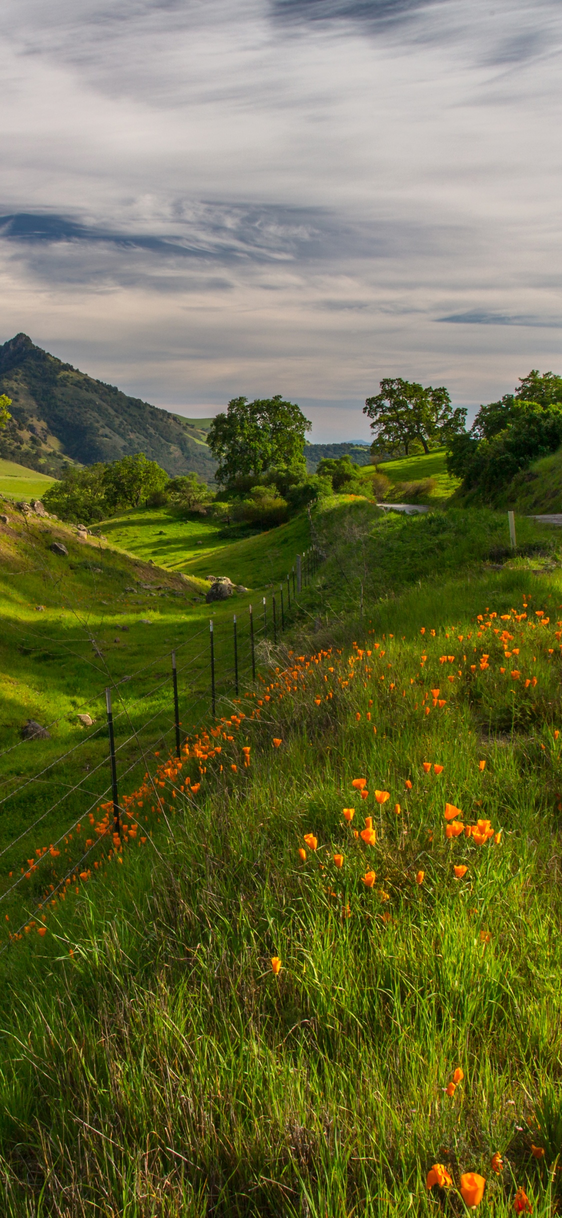 Green Grass Field and Mountain Under White Clouds and Blue Sky During Daytime. Wallpaper in 1125x2436 Resolution