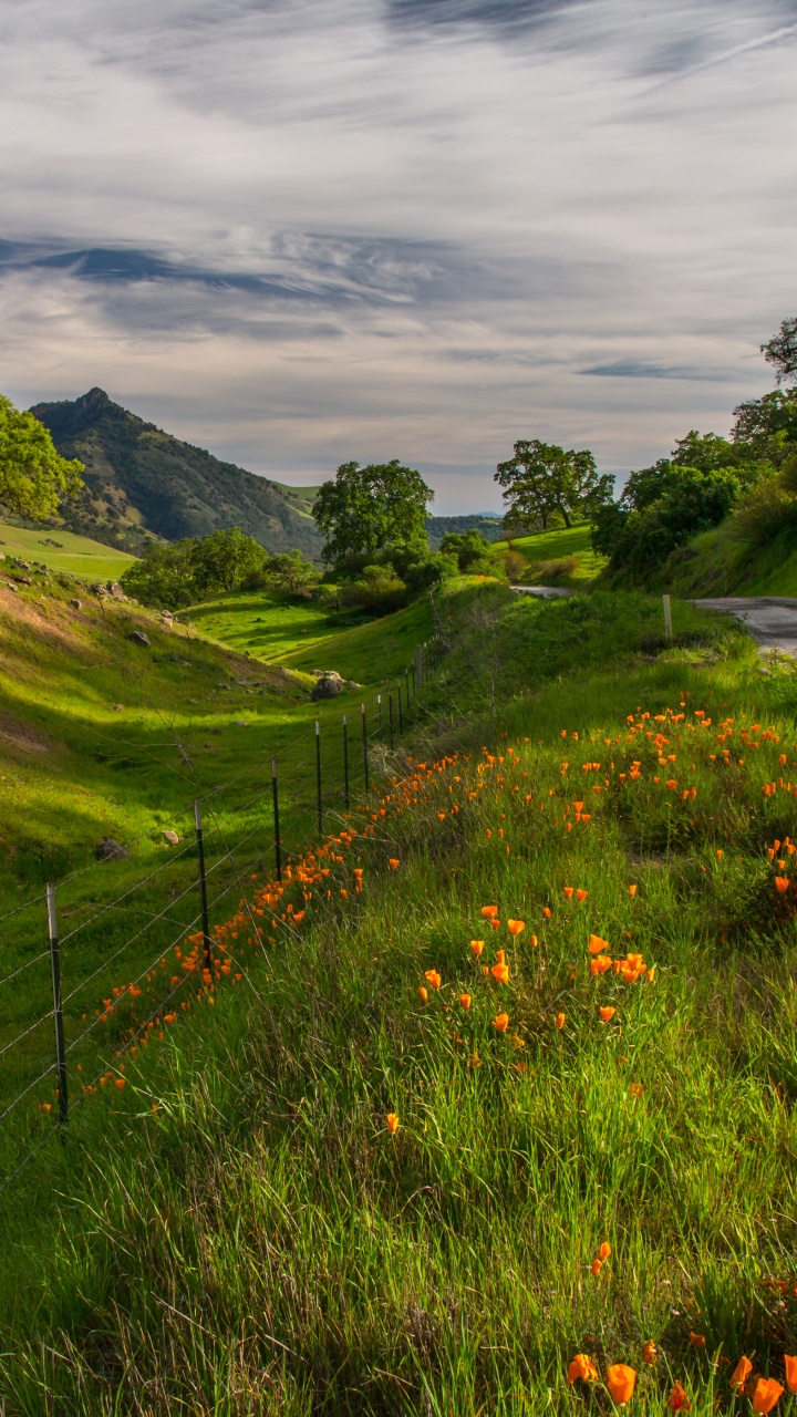 Green Grass Field and Mountain Under White Clouds and Blue Sky During Daytime. Wallpaper in 720x1280 Resolution