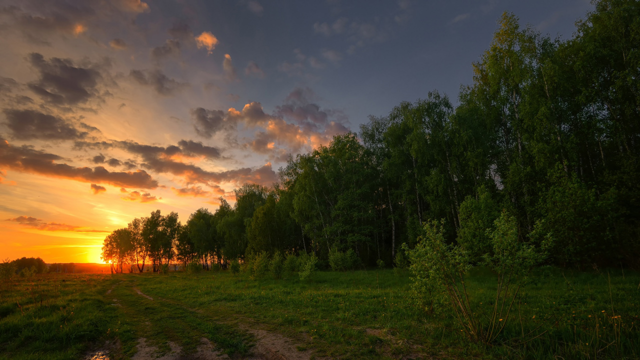 Grüne Bäume Unter Blauem Himmel Bei Sonnenuntergang. Wallpaper in 1280x720 Resolution