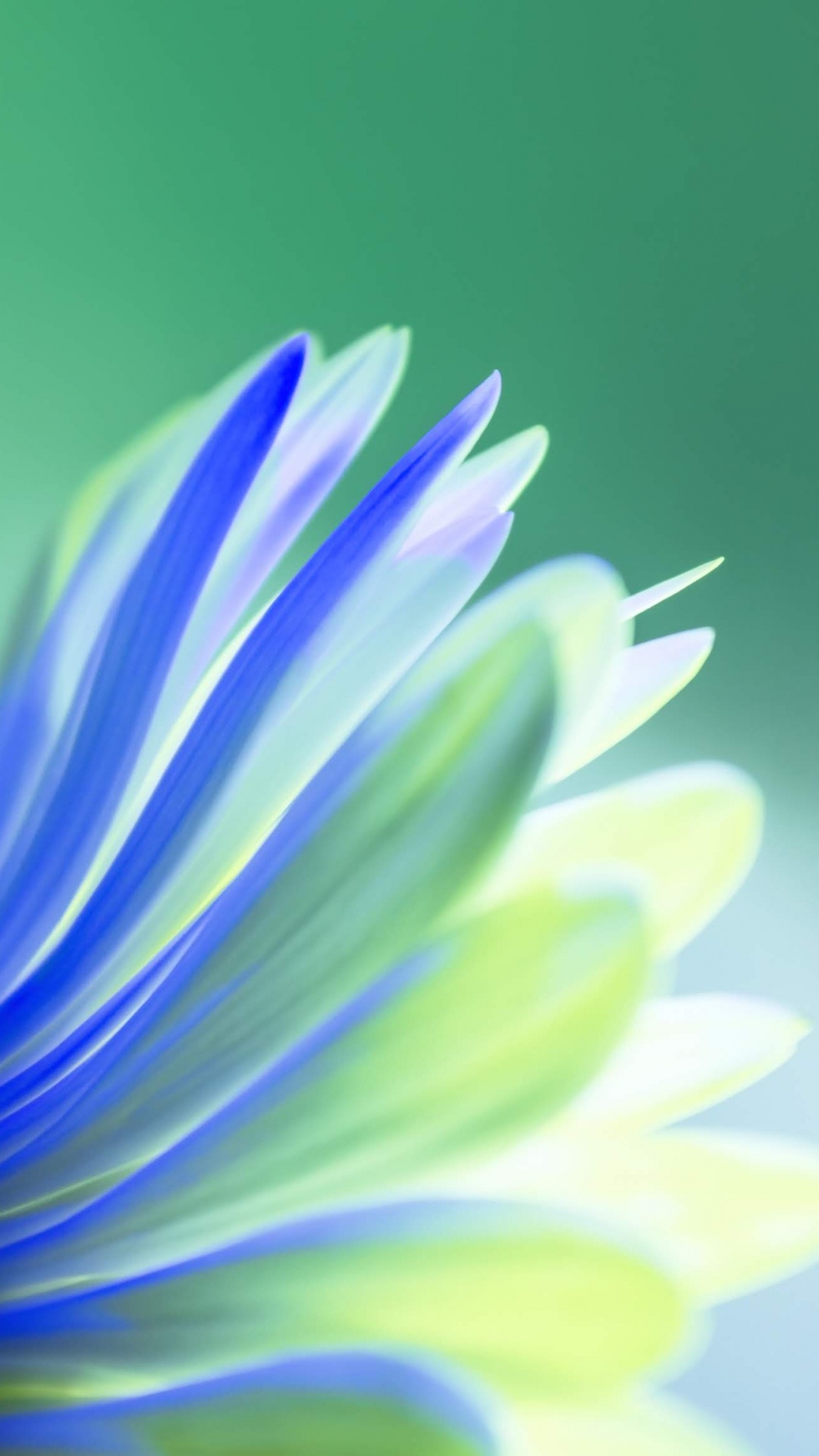 Huawei, Huawei View 20, Honor V20, Honor View 10, Honor View20. Wallpaper in 1080x1920 Resolution