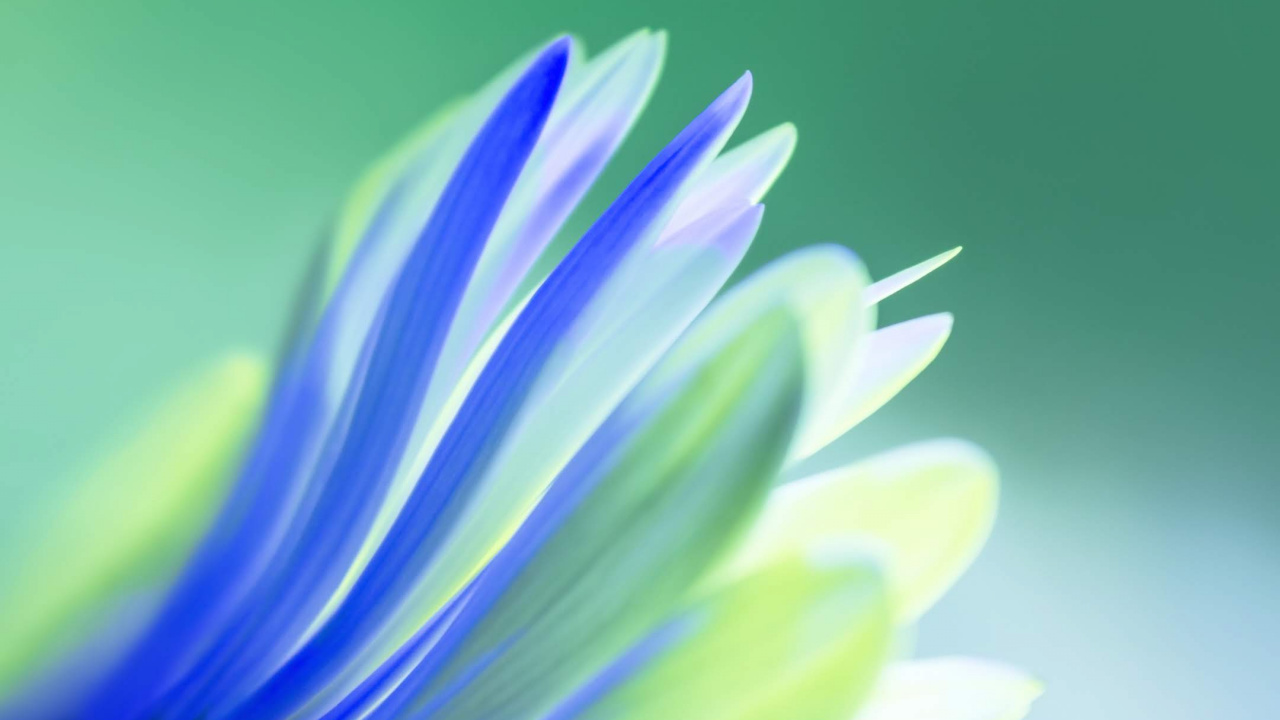 Huawei, Huawei View 20, Honor V20, Vista de Honor 10, Honor View20. Wallpaper in 1280x720 Resolution